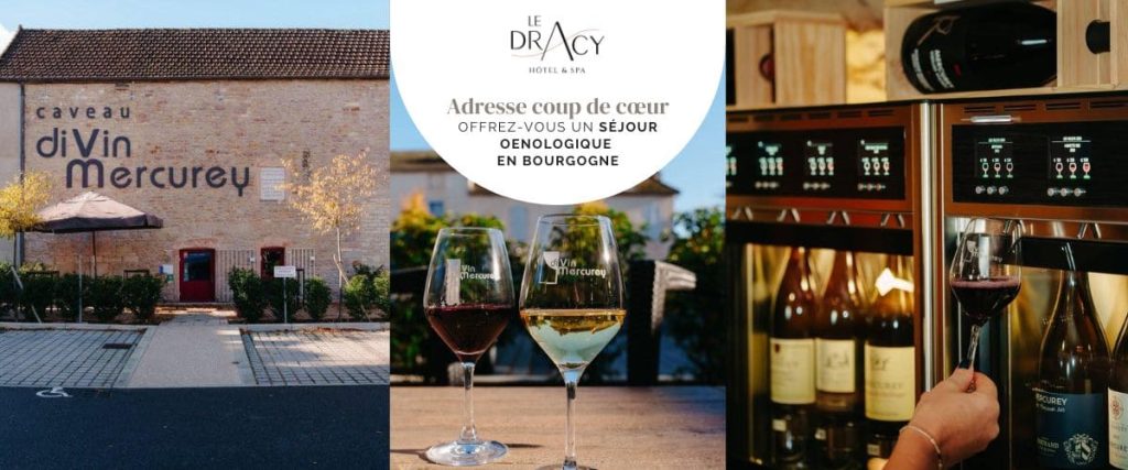 Visite en Bourgogne en Mars : que faire pour vivre une expérience différente ? | visite bourgogne mars oenotourisme dracy visite bourgogne mars oenotourisme dracy