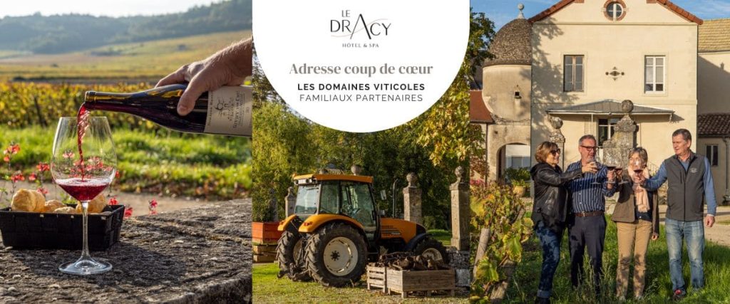 Visite en Bourgogne en Mars : que faire pour vivre une expérience différente ? | visite bourgogne mars visite domaine viticole dracy visite bourgogne mars visite domaine viticole dracy
