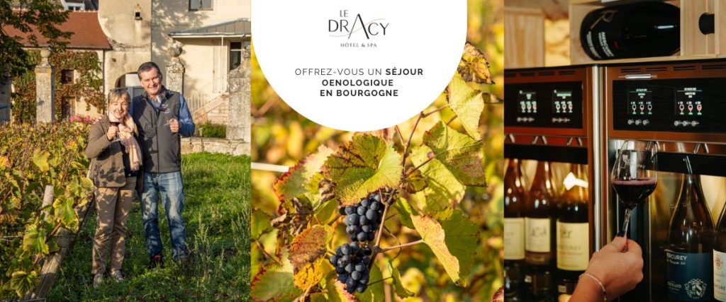 Week-end romantique en Bourgogne : l'escapade idéale pour les couples | week end romantique Bourgogne couple itineraire jour blog dracy Vue d'une expérience immersive d'un couple en dégustation de vin dans un domaine partenaire pendant un week-end romantique Bourgogne